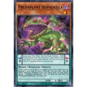 Predapianta Bufolicula