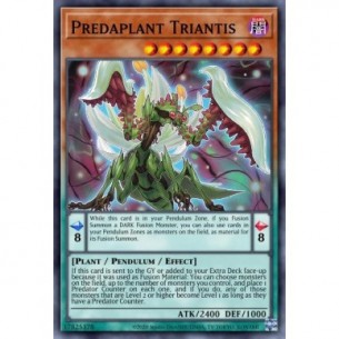 Predapianta Triantis