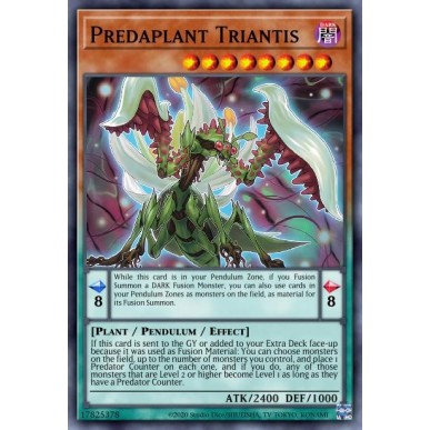 Predapianta Triantis