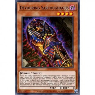 Sarcoughagus Divoratore