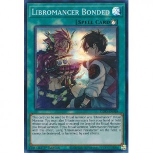 Legame Libromante