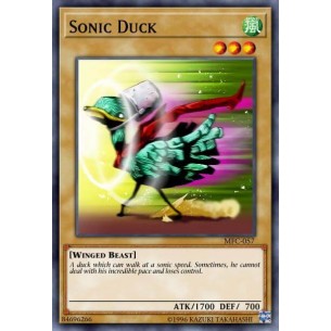 Sonic Duck