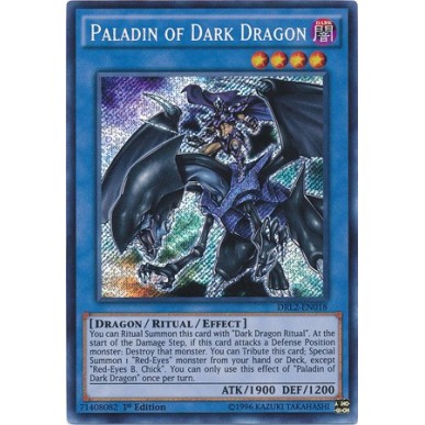 Paladino del Drago Nero
