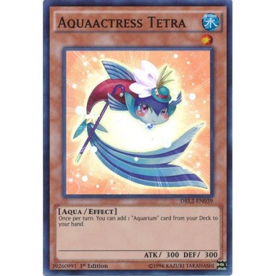 Acquattrice Tetra