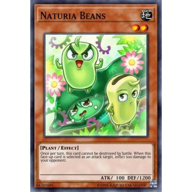 Naturia Beans