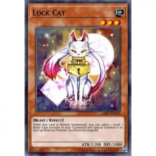 Lock Cat