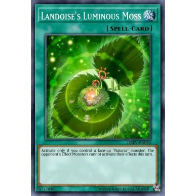 Muschio Luminoso di Landoise