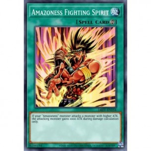 Amazoness Fighting Spirit