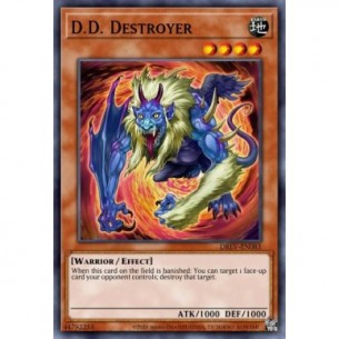 D.D. Destroyer
