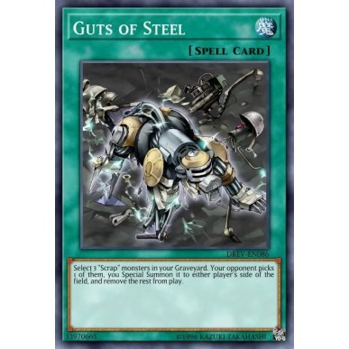 Guts of Steel