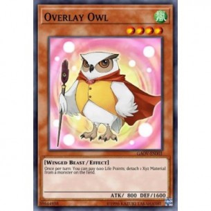 Overlay Owl