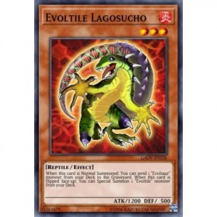 Evoltile Lagosucho