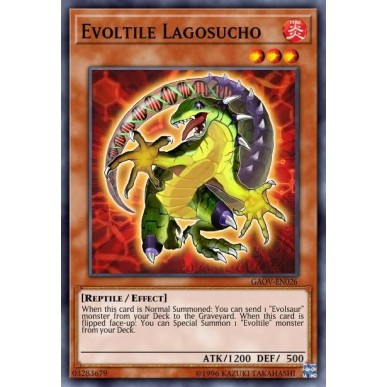 Evoltile Lagosucho