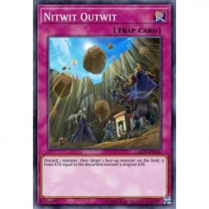 Furbizia Nitwit