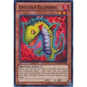 Evoltile Elginero