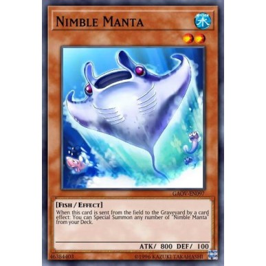 Nimble Manta