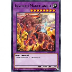 Invoked Magellanica