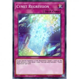 Cynet Regression