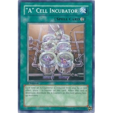 Cella Incubatrice "A"