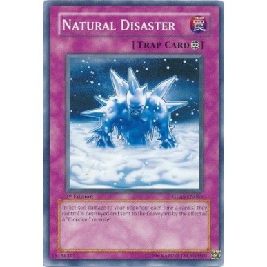 Disastro Naturale