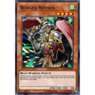Winged Rhynos