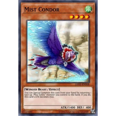 Mist Condor