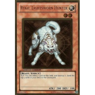 Ryko, Lightsworn Hunter