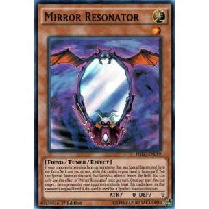 Mirror Resonator