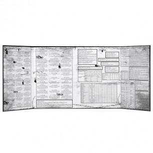 Sine Requie - Schermo del Cartomante 2