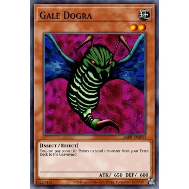 Dogra Burrasca