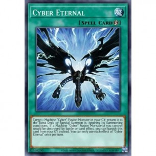 Cyber Eternal
