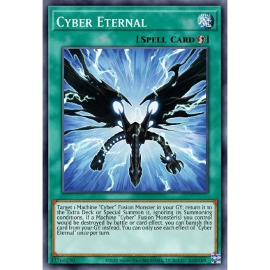 Cyber Eternal