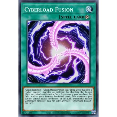 Fusione Cybercarico