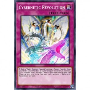 Cybernetic Revolution