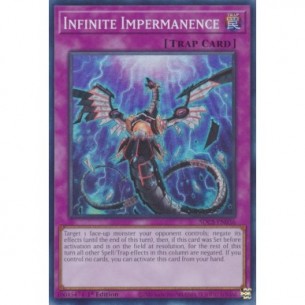 Infinite Impermanence
