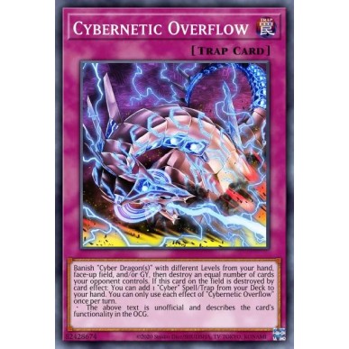 Oveflow Cibernetico