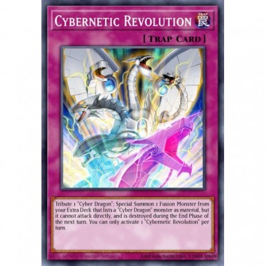 Cybernetic Revolution