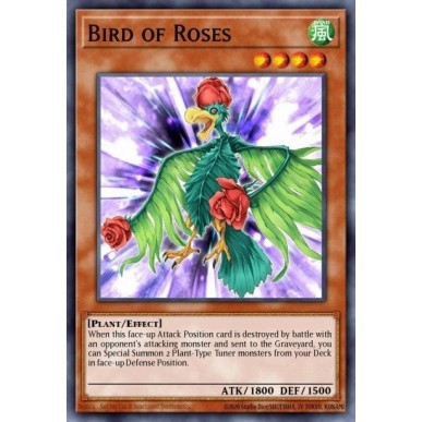 Bird of Roses