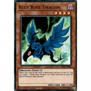 Drago Rosa Blu (V.1 - Gold)