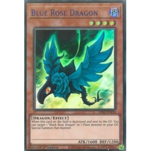Drago Rosa Blu (V.2 - Blue)