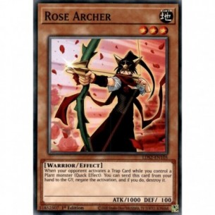 Arciere Rosa