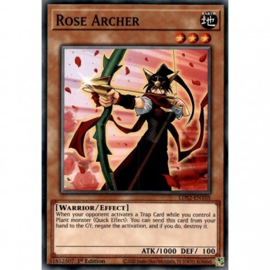 Rose Archer
