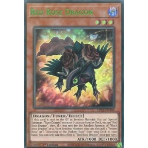 Drago Rosa Rossa (V.3 - Green)