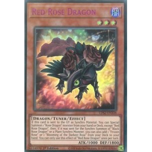 Drago Rosa Rossa (V.4 -...