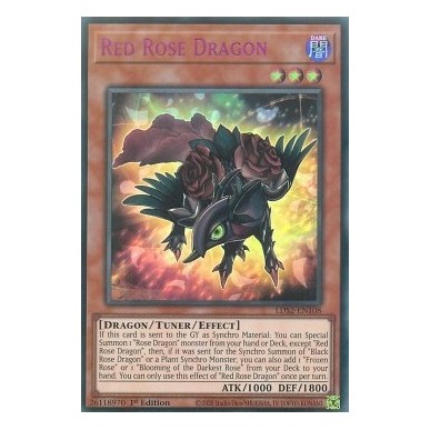 Red Rose Dragon (V.4 - Purple)