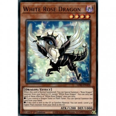 Drago Rosa Bianca (V.1 - Gold)