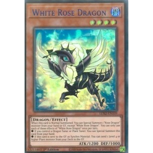 Drago Rosa Bianca (V.2 - Blue)