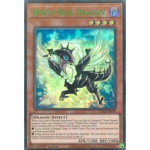 Drago Rosa Bianca (V.3 -...