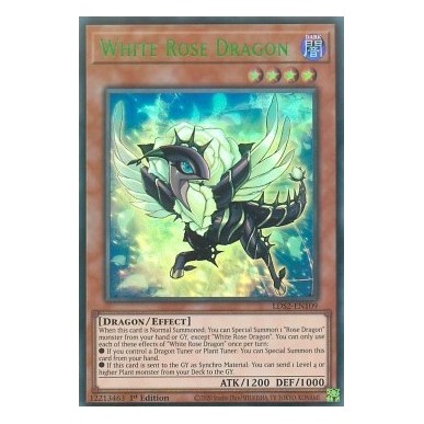 Drago Rosa Bianca (V.3 - Green)