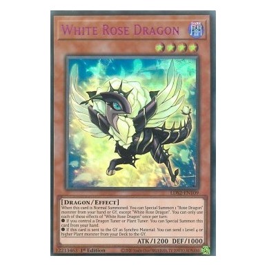 White Rose Dragon (V.4 - Purple)